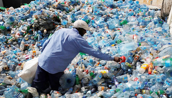 Vi khuẩn phân hủy chai nhựa chỉ trong vài giờ