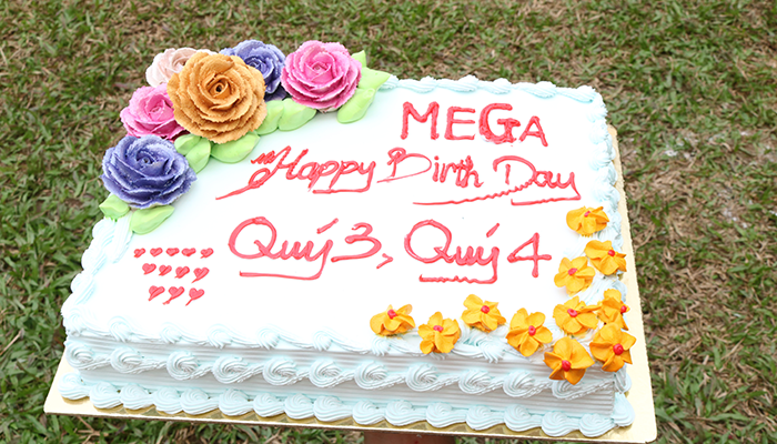 bánh sinh nhật mega