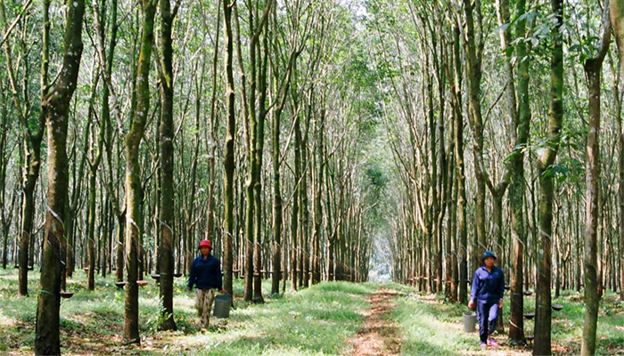 Báo khoa học tháng 12 