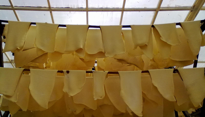 Giá cao su tăng nhẹ đầu tháng 8 