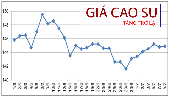 giá cao su tăng trở lại 