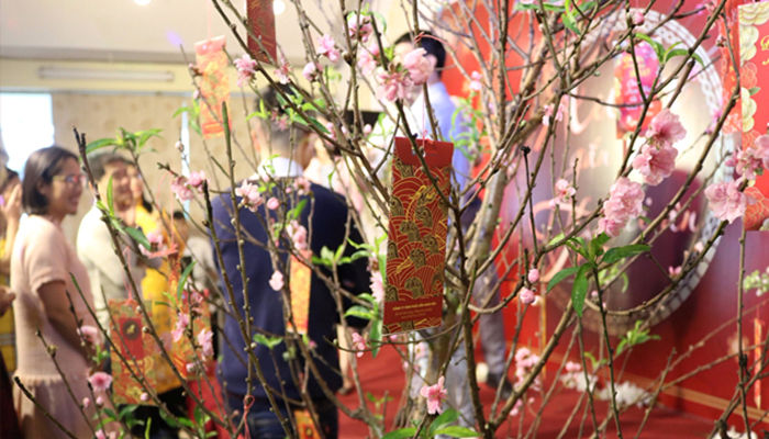 Lucky money in envelopes hang in the peach breaches.