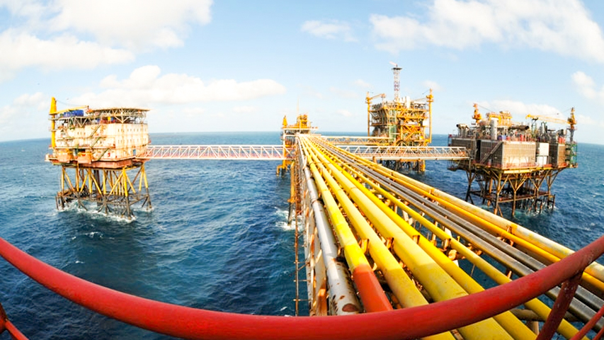 mỏ dầu bạch hổ