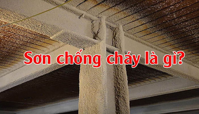son chong chay la gi